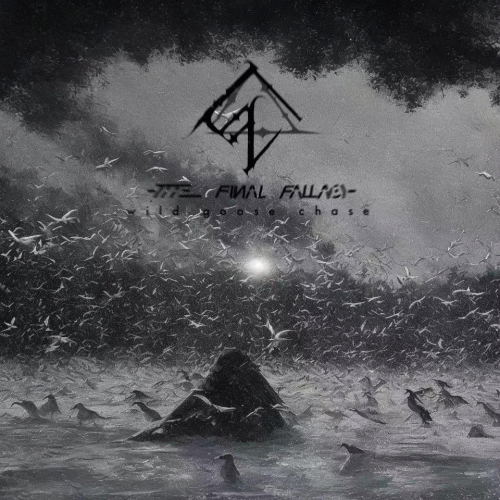 The Final Fallacy : Wild Goose Chase